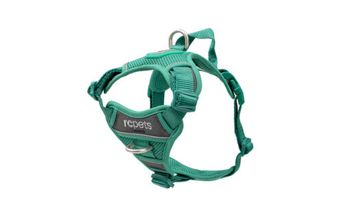 RC Pets Momentum Harness