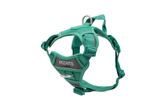 RC Pets Momentum Harness