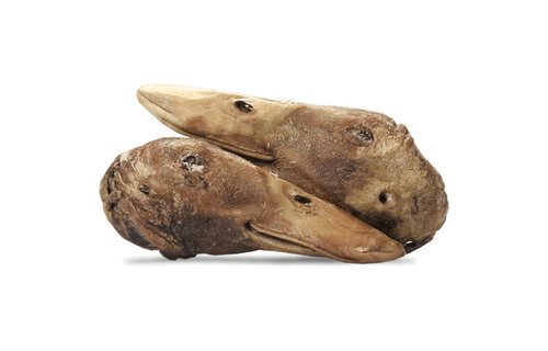 Vital Essentials Raw Bar FD Duck Heads