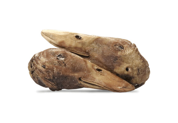 Vital Essentials Raw Bar FD Duck Heads