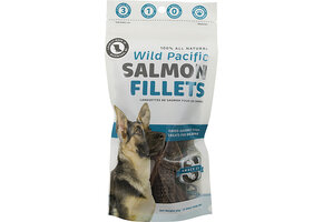 Snack 21 Wild Salmon Fillets 65g