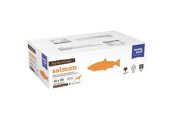 Healthy Paws Big Box Dinners - Salmon 16 x 1Lb