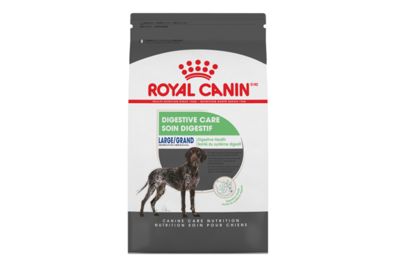 Royal Canin CCN Large Digestive Care 30lb