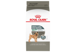 Royal Canin CCN Small Dental Care 17lb