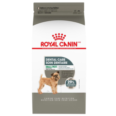 Royal Canin CCN Small Dental Care 17lb