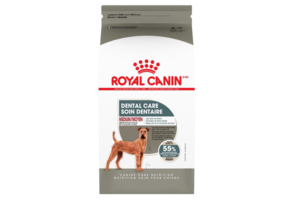 Royal Canin CCN Medium Dental Care 28lb