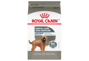 Royal Canin CCN Large Dental Care 30lb