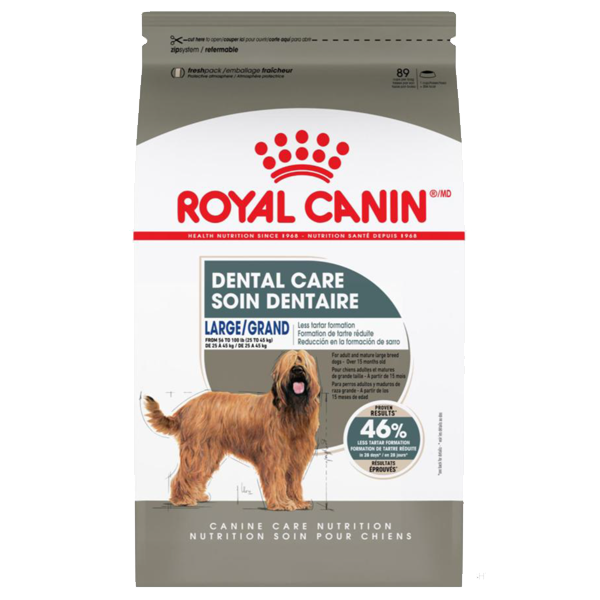 Royal Canin CCN Large Dental Care 30lb