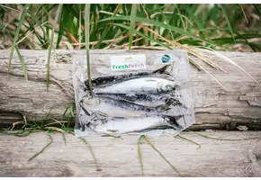 Fresh Fetch Herring 1Lb