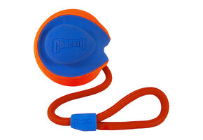 Chuckit Rope Fetch