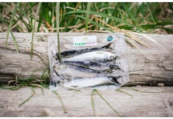 Fresh Fetch Herring 10Lb
