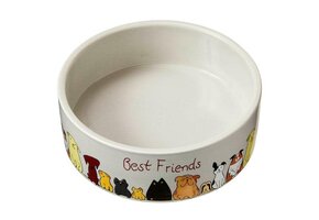 *Disc*Best Friends Dog Dish 5"