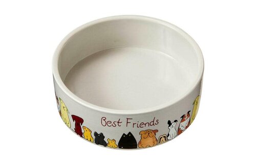 *Disc*Best Friends Dog Dish 5"