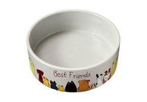 Best Friends Dog Dish 7"