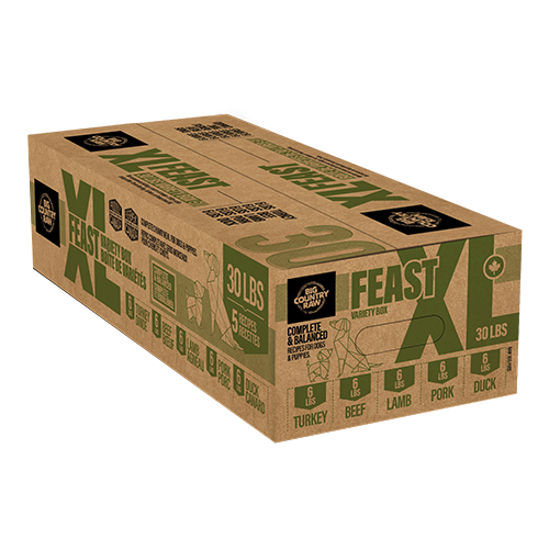 BCR XL Feast - Duck/Beef/Pork/Turkey/Lamb 20 x 1.5Lb (30Lb)