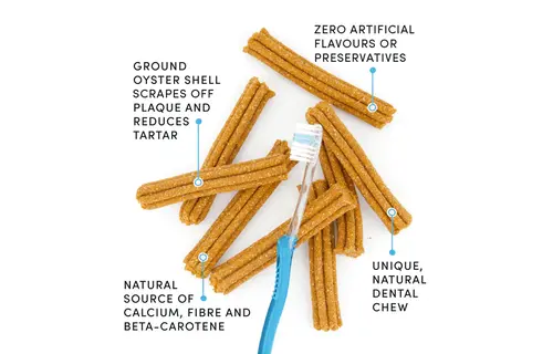 Crumps Plaque Busters Pumpkin 7” 10pk