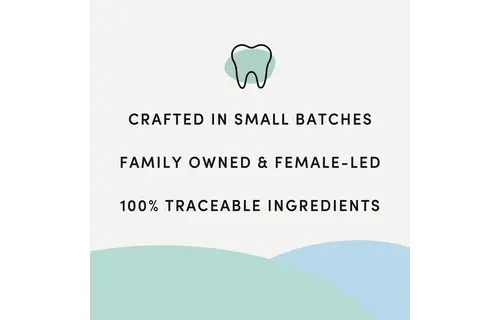 Crumps Plaque Busters Pumpkin 7” 10pk