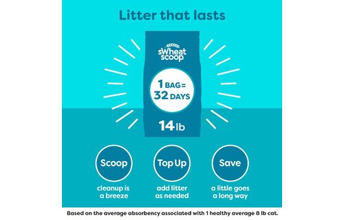 Swheat Scoop Fast Clumping Litter 14LB