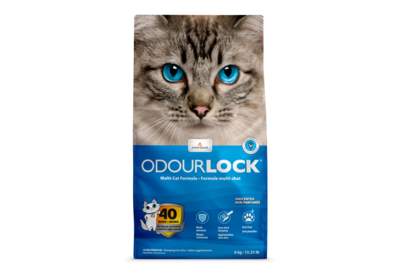 Intersand Odourlock Litter Unscented 6kg
