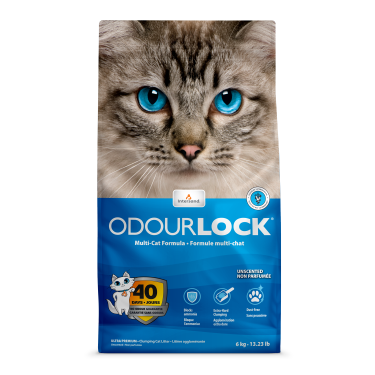 Intersand Odourlock Litter Unscented 6kg