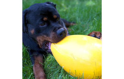 Jolly Egg Yellow 12 Woofy s by Paw Street Market