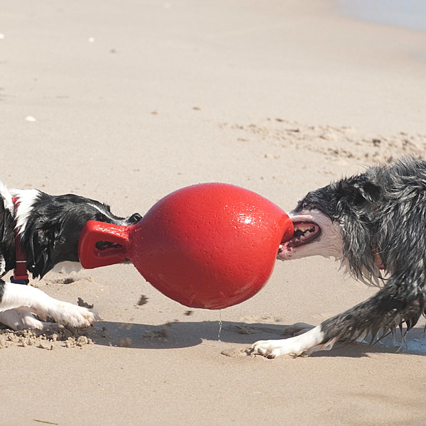 Jolly Ball Tug N Toss Ball Red 6”