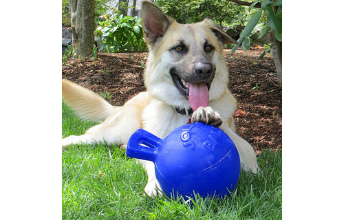Jolly Ball Tug N Toss Ball Blue 10”