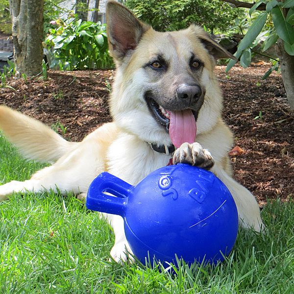 Jolly Ball Tug N Toss Ball Blue 10”