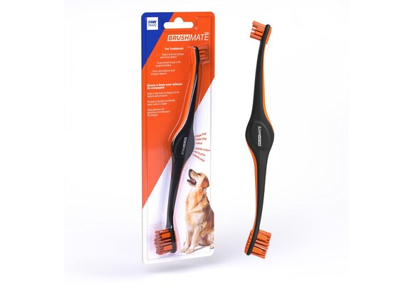 Paw Ready Toothbrush Orange