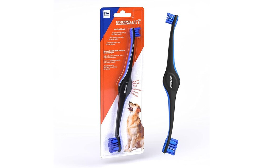 Paw Ready Toothbrush Blue