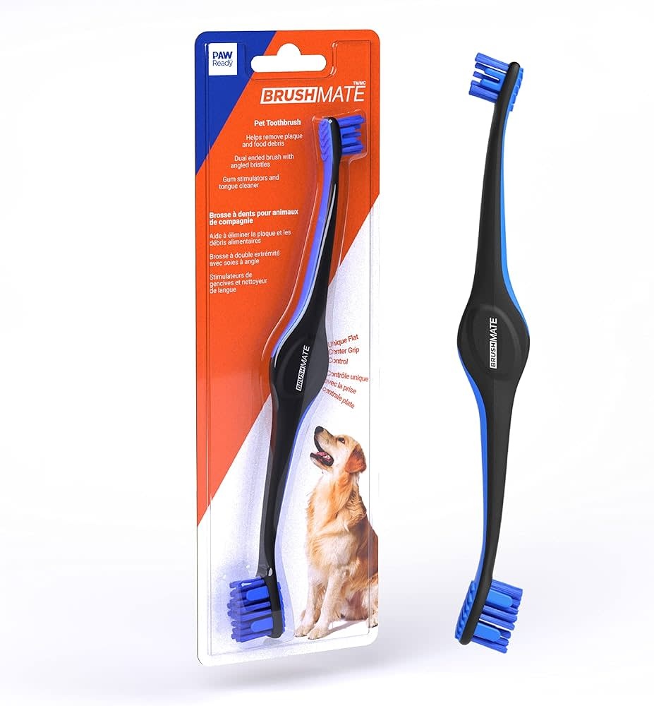 Paw Ready Toothbrush Blue