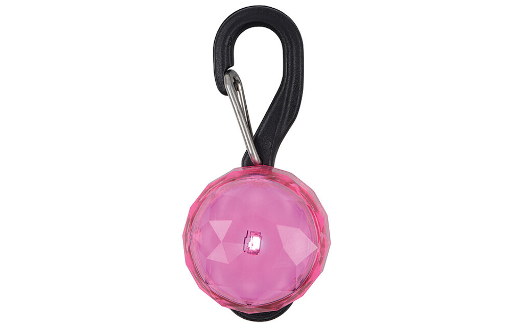 Led pet collar light sale