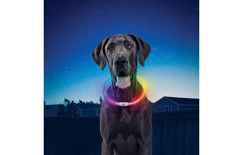 Nite Ize LED Rechargeable Safety Collar - Disc-O