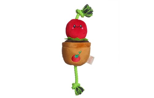 TERRITORY Tomato Treat & Tug Toy