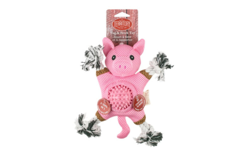 TERRITORY Farm Friends 2-in-1 Pig Toy