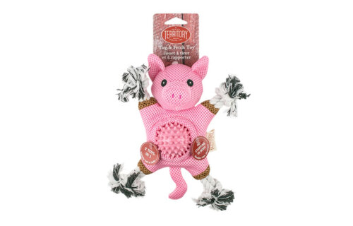 TERRITORY Farm Friends 2-in-1 Pig Toy