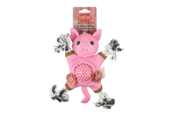 TERRITORY Farm Friends 2-in-1 Pig Toy