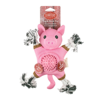 TERRITORY Farm Friends 2-in-1 Pig Toy