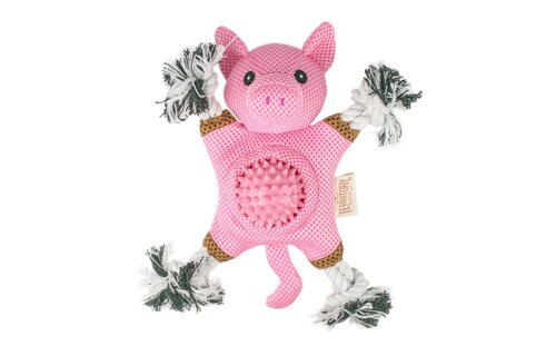 TERRITORY Farm Friends 2-in-1 Pig Toy