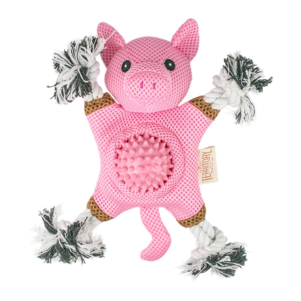 TERRITORY Farm Friends 2-in-1 Pig Toy