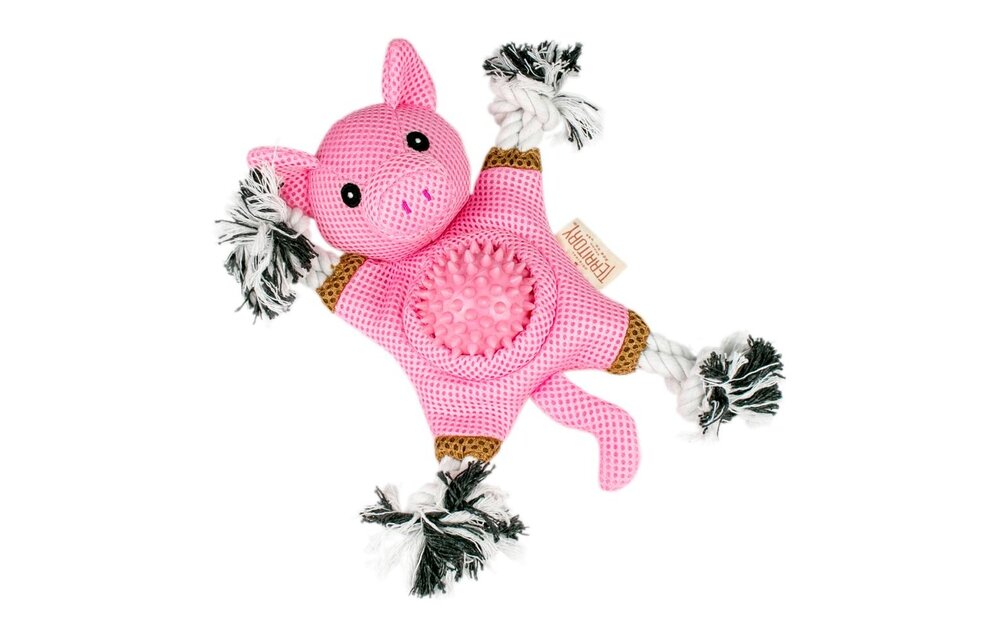 TERRITORY Farm Friends 2-in-1 Pig Toy