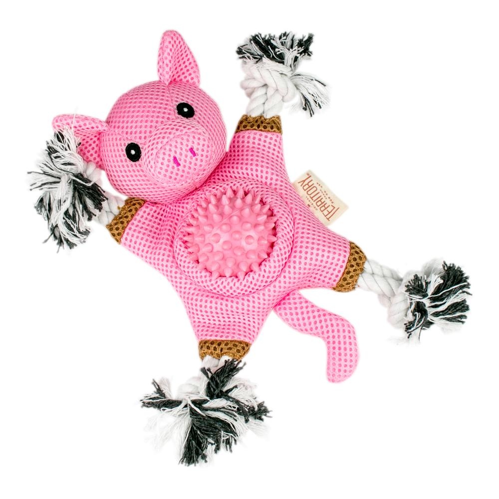 TERRITORY Farm Friends 2-in-1 Pig Toy