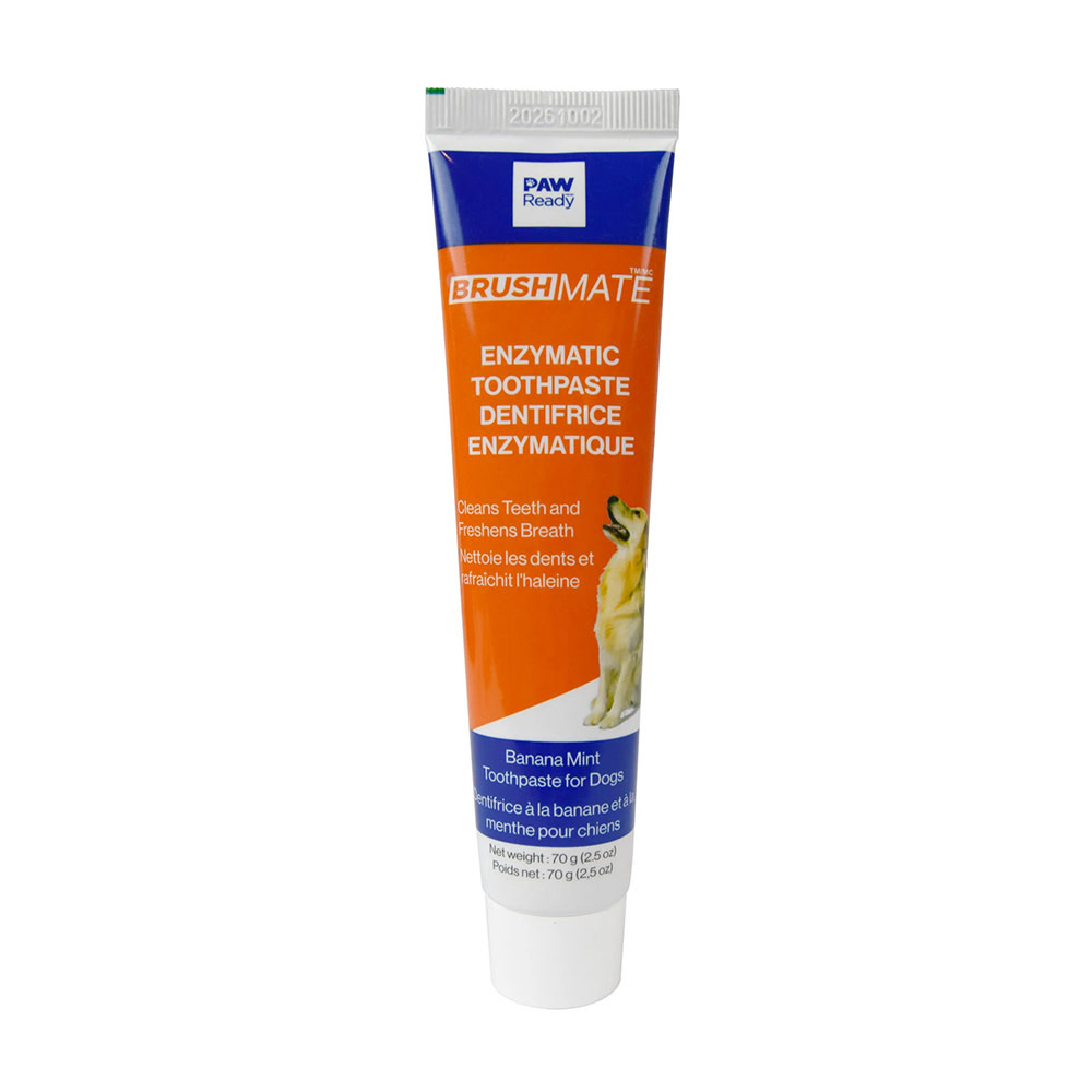 Paw Ready Enzymatic BrushMate Toothpaste-Banana Mint 70g