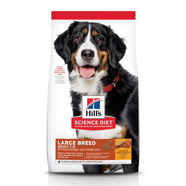 Science Diet Dog Adult Large Breed 35lb
