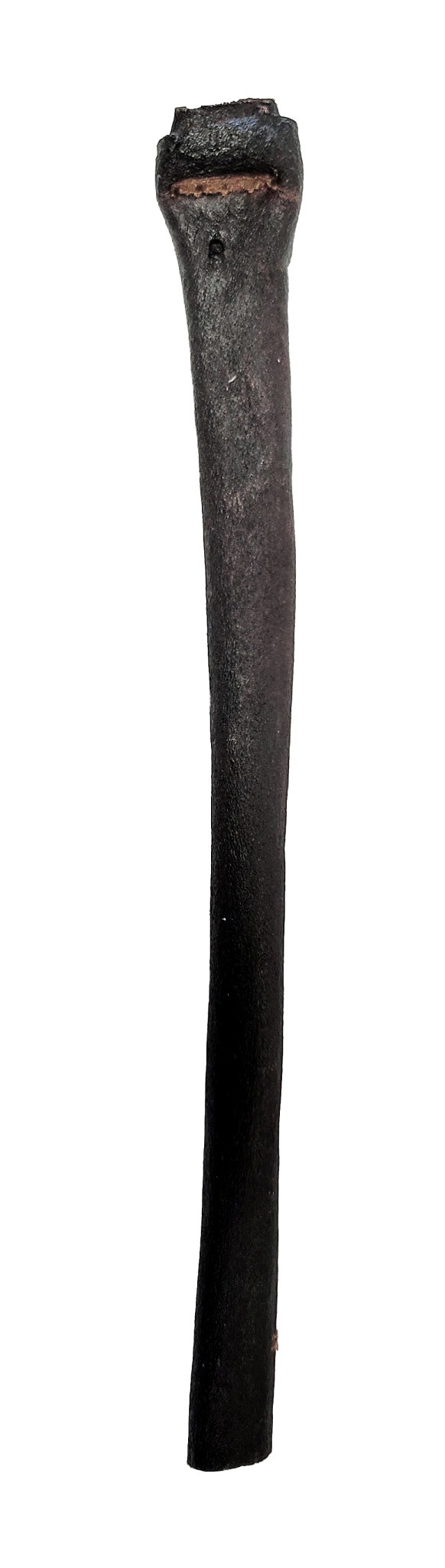 Bullsters Collagen Charcoal Stick 12"