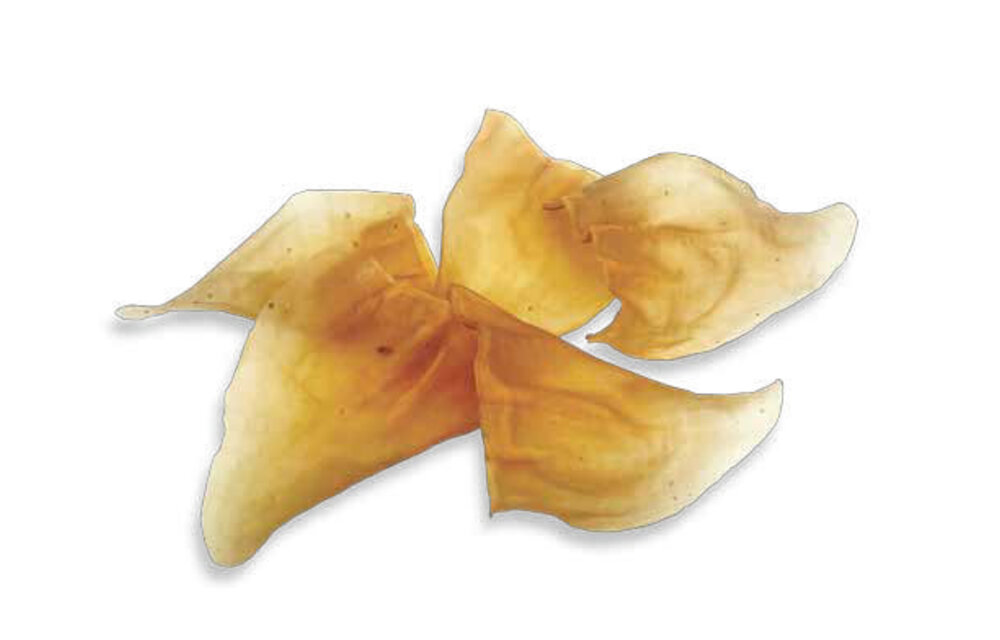 Bullsters Cow Ear Bulk