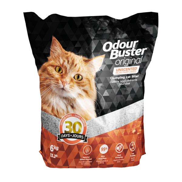 Odour Buster Original Unscented Litter 6kg