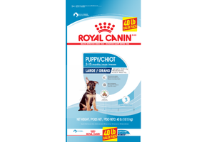 Royal Canin SHN Large Puppy 40lb