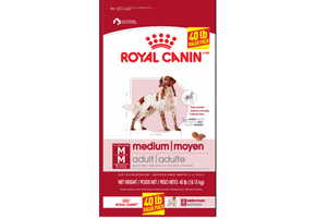Royal Canin SHN Medium Adult 40lb