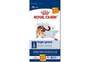 Royal Canin SHN Large Adult 40lb